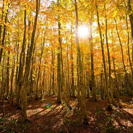 Ana洲际安比高原度假村 八幡平市 外观 照片