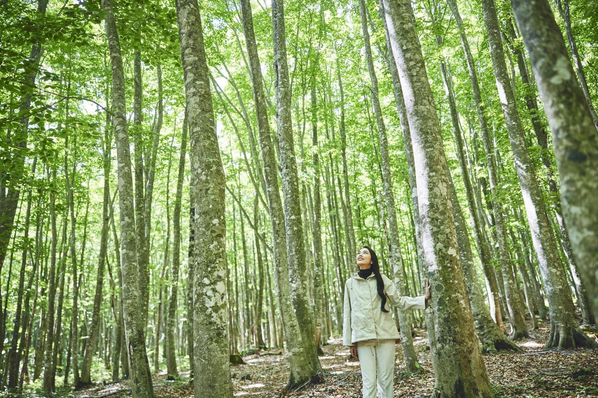 Ana洲际安比高原度假村 八幡平市 外观 照片