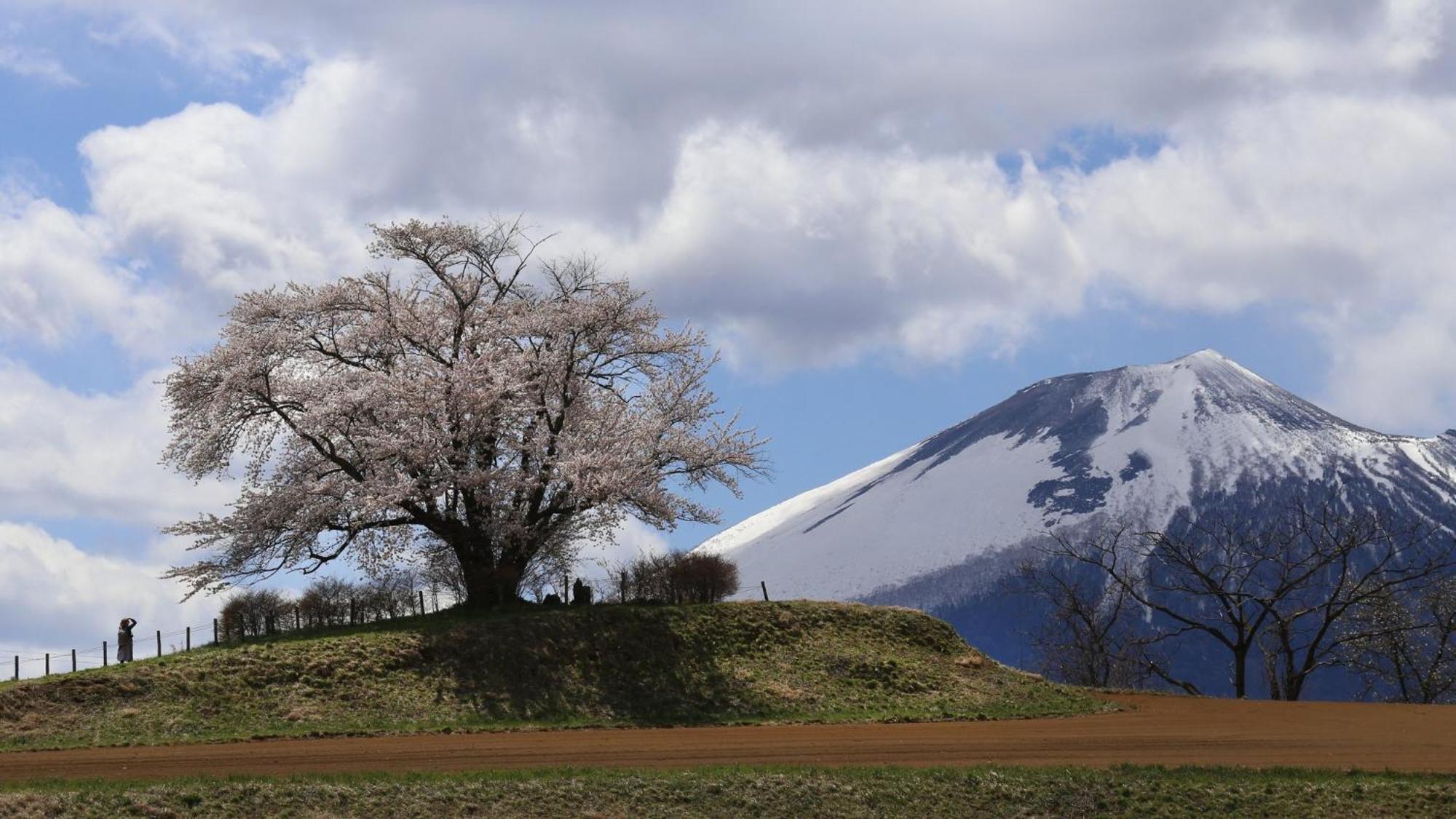 Ana洲际安比高原度假村 八幡平市 外观 照片